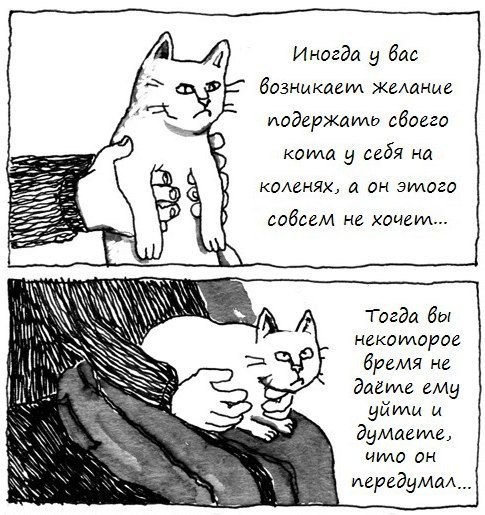  - 11  2014  22:01