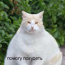 ���� ������, �����, 34 ���� - ��������� 30 ���� 2014 � ������ ������ ��������