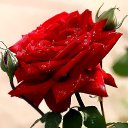 ���� ������, ������������ - ��������� 24 ����� 2014 � ������ ������ ��������