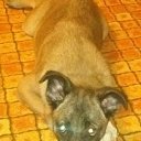 ���� �����, �����-�������� - ��������� 9 ������� 2014 � ������ �����