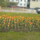 ���� ���������, ������, 66 ��� - ��������� 9 ���� 2014 � ������ ���� ����������