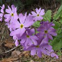 ���� �������, �����, 75 ��� - ��������� 19 ��� 2014 � ������ ������� �����, 18.05.2014�