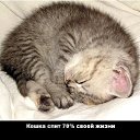 ���� �������, ����������, 51 ��� - ��������� 7 ��� 2014 � ������ ���� ����������