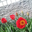 ���� �������, ������, 58 ��� - ��������� 19 ������ 2014 � ������ ��������