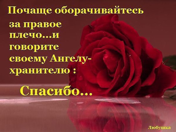  - 26  2014  18:51