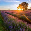 ���� Svetlana, ������ - ��������� 8 ������� 2014 � ������ ���� ����������