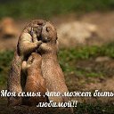 ���� �����, ������-��-����, 34 ���� - ��������� 8 ���� 2014 � ������ ������ ��������