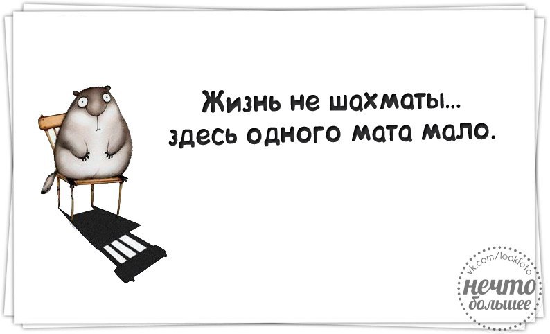 Жить без мата. Прикольные высказывания о жизни. Веселые цитаты. Смешные матерные цитаты. Вредный журнал в картинках.