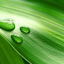 ���� �������, ������, 56 ��� - ��������� 15 ���� 2014 � ������ ���� ����������