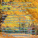 ���� ����, �����, 69 ��� - ��������� 20 ��� 2014 � ������ ������ ��������