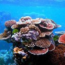 ���� Hodjiddinov Ramazon, ������, 52 ���� - ��������� 7 ������� 2014 � ������ ���� ����������