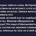  ******, , 56  -  27  2014    