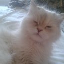 ���� Igor, �������, 57 ��� - ��������� 19 ���� 2014 � ������ ������� ���