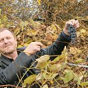 ���� ������, �����-���������, 60 ��� - ��������� 16 ���� 2014