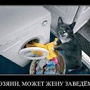 ���� ���������, ������ - ��������� 14 ��� 2014 � ������ ����� �� �������