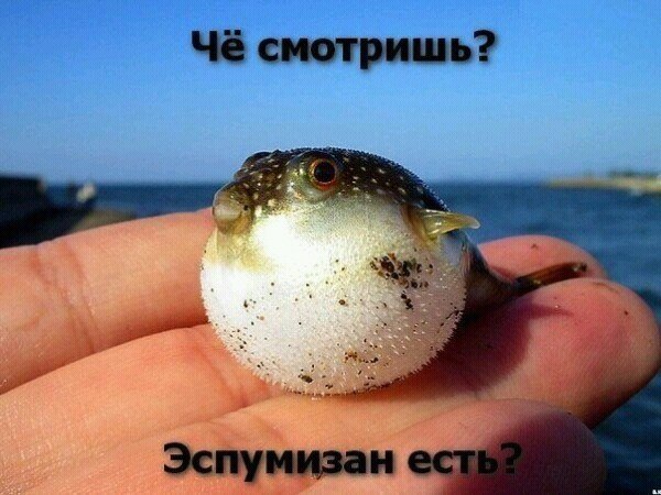   ... - 31  2014  07:58