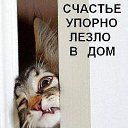 ���� ������, ����� - ��������� 1 ������� 2014 � ������ ������ ��������