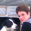 ���� ��������, ���������, 53 ���� - ��������� 29 ��� 2014 � ������ ������ ��������