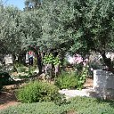 ���� �������� ����� 2 ���. ���. �� ������� ���� ����������