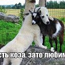  Ta,  -  16  2014    