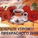 ���� �����, �����������, 49 ��� - ��������� 1 ���� 2014 � ������ ������ ��������
