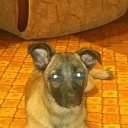 ���� �����, �����-�������� - ��������� 9 ������� 2014 � ������ �����