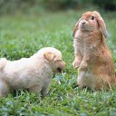 ���� ����, ������ - ��������� 10 ������ 2014 � ������ ���� ����������