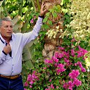 ���� Andreano, ������ - ��������� 4 ������� 2014 � ������ ���� ����������