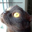 ���� ���������, ���������, 62 ���� - ��������� 23 ���� 2014 � ������ ������ ��������