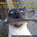 ���� �������, ��������-��-������, 48 ��� - ��������� 9 ������� 2014 � ������ ������ ��������
