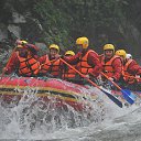 ���� ���������, ����������, 46 ��� - ��������� 12 ���� 2014 � ������ ��������