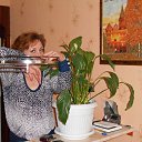 ���� �����, �����-���������, 52 ���� - ��������� 1 ���� 2014 � ������ ������ ��������