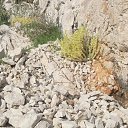 ���� �����, ���������� - ��������� 29 ���� 2014 � ������ ����Ż
