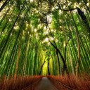  (   !!!!!!),  -  1  2014    