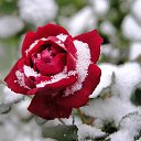 ���� ����, ����� - ��������� 22 ����� 2014 � ������ ���� ����������