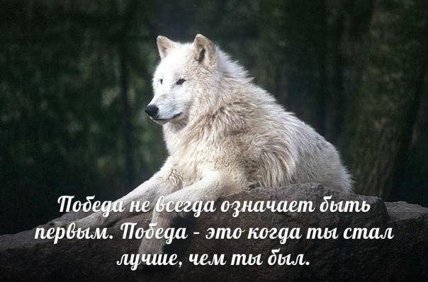   - 20  2014  18:53