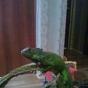 ���� �������, ������, 42 ���� - ��������� 27 ���� 2014