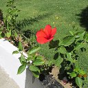 ���� ����������, ������, 58 ��� - ��������� 29 ���� 2014 � ������ ���