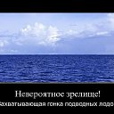 ���� Ginger, ������� - ��������� 13 ���� 2014 � ������ ������ ��������