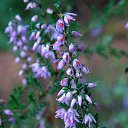 ������ 2014 �� ������� �"...�� ������ ������..."�