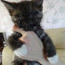 ���� �����, ���������, 58 ��� - ��������� 23 ���� 2014 � ������ ������� �