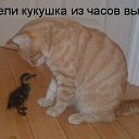 ���� ������, �����-���������, 50 ��� - ��������� 18 ������ 2014 � ������ ������ ��������