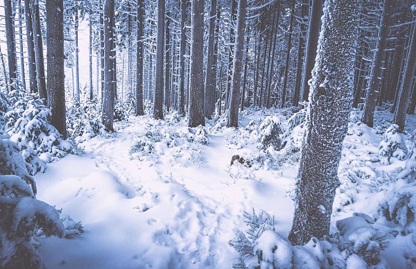 Harz, Germany