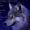 ���� Aleksei Rok, ������, 44 ���� - ��������� 3 ������ 2014 � ������ ����������� ���