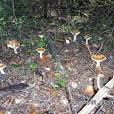 ���� ������, �������� - ��������� 17 �������� 2014 � ������ ������ � ��������!�