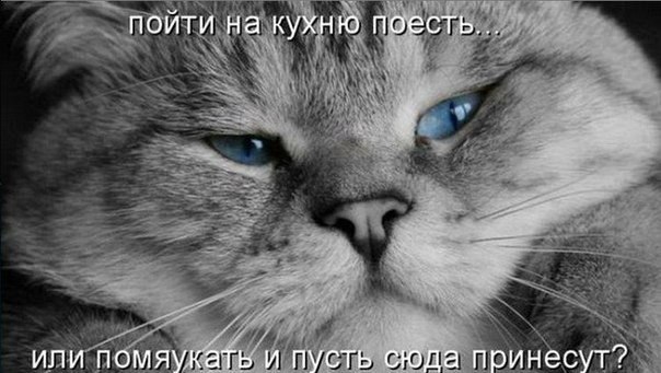    |   - 25  2014  21:54