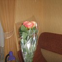 ���� ������, ������ - ��������� 20 ������� 2014 � ������ ���� ����������