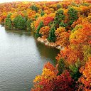 ���� �������, �����������, 61 ��� - ��������� 17 ������� 2014 � ������ ������ ��������