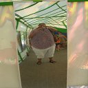 ���� ������, ���������, 49 ��� - ��������� 14 �������� 2014