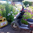  ,  -  26  2014        )))